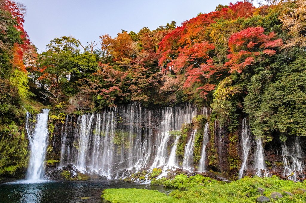 taitan21's tweet photo. 紅葉が見頃を迎えている富士宮市白糸ノ滝の風景です！ https://t.co/4ZYE6WccWh