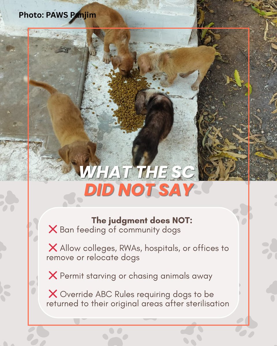 EarthBrigadeIN's tweet image. The SC order on stray dogs only tells local authorities to ensure safety in high-risk public spaces.
Does not:
❌ ban feeding
❌ allow institutions to remove dogs
❌ permit harassment

@PrakashWKamatPK @WAGANIMALRESCUE

#CommunityDogs #AnimalCare #Dogs #StreetDogs #SupremeCourt