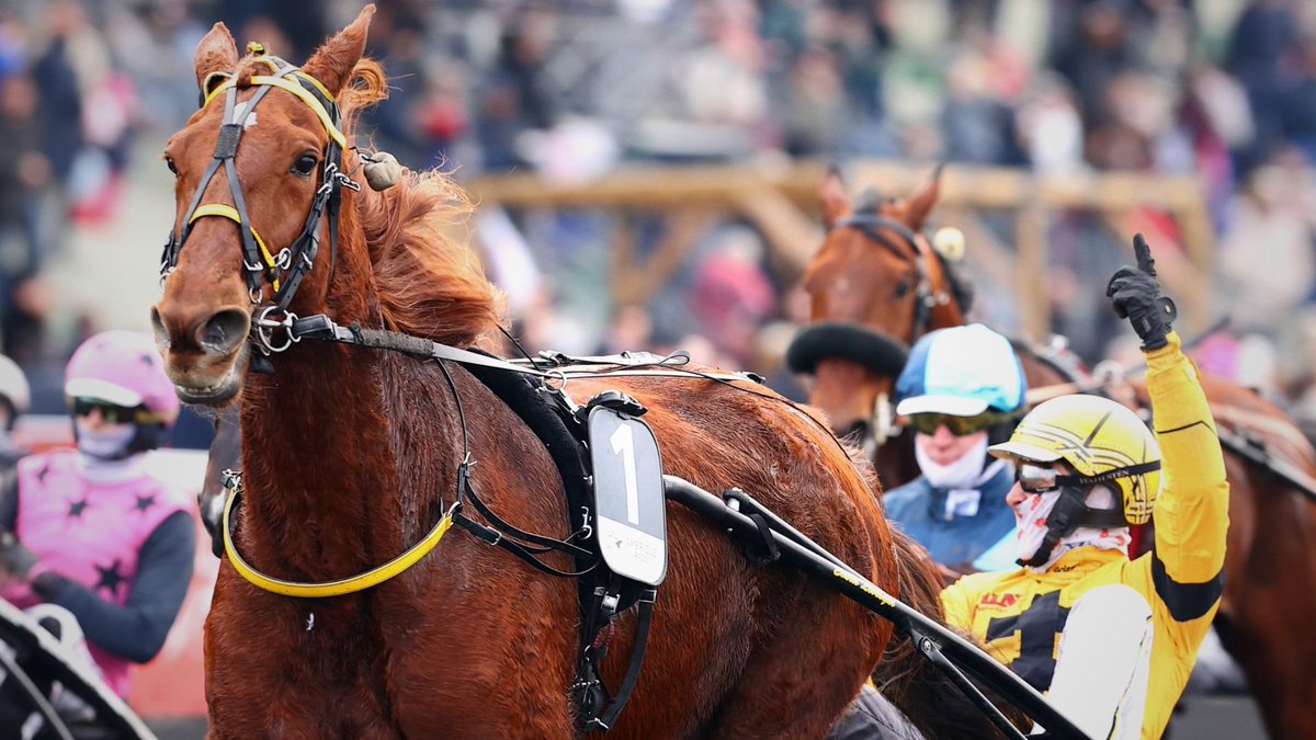 R1C4 VINCENNES 🇫🇷 
QUINTÉ + SAMEDI 22/11 
IROISE DE LA NOE LE 15 qui vient de faire une bonne rentrée ferrée, elle a de l'argent à prendre, on la suit. 
PRONOS 15-13-9-7-14-11-6-8
 @PMU_Hippique <a href="/ZEturfFr/">ZEturf 🔞</a> 
UN LIKE OU UN PARTAGE NE COÛTE RIEN. 🏇🙏