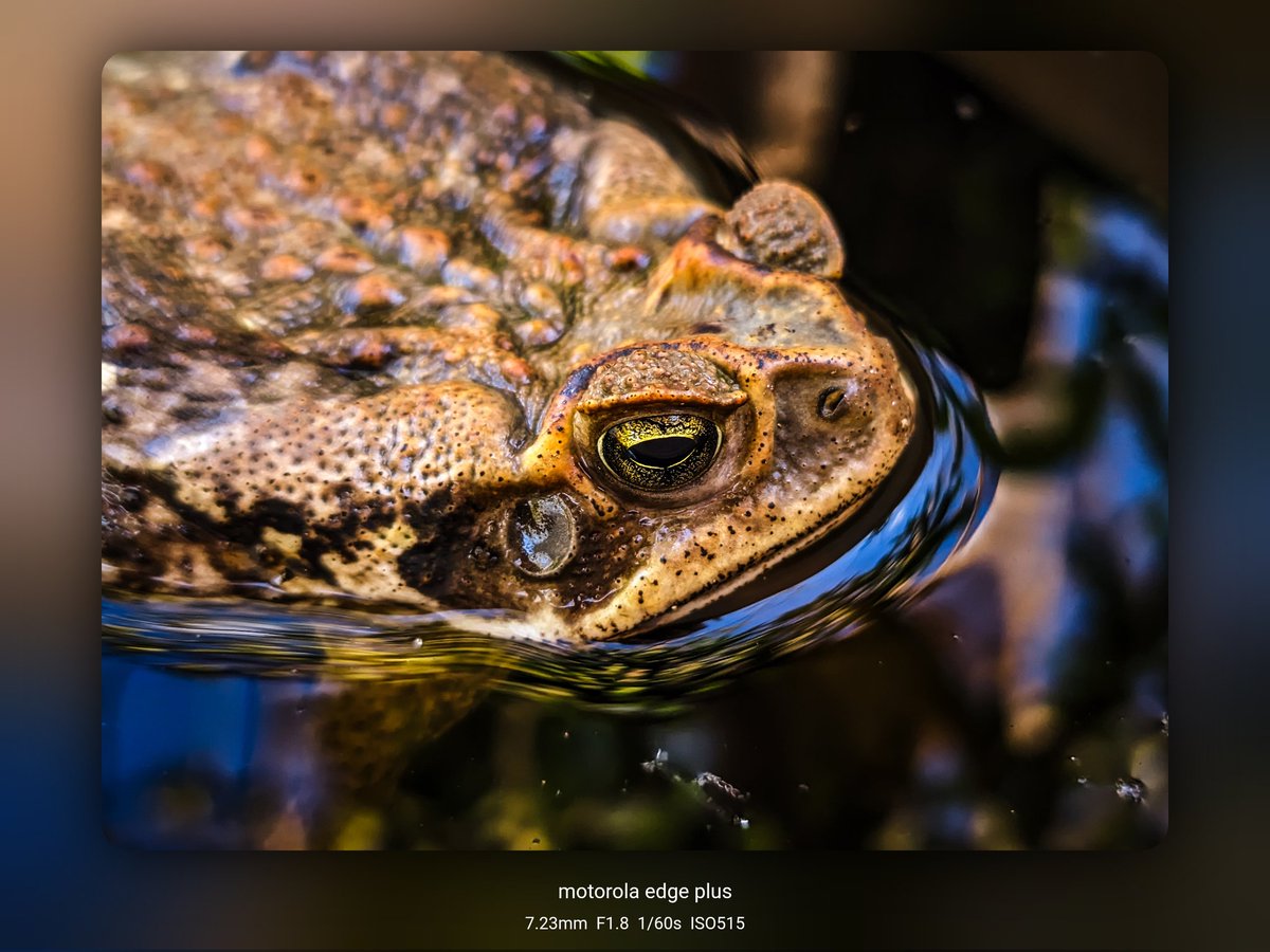 Coffee & Tech☕ tweet media