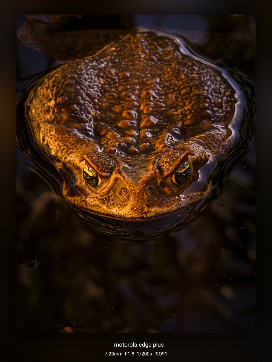 Coffee & Tech☕ tweet media