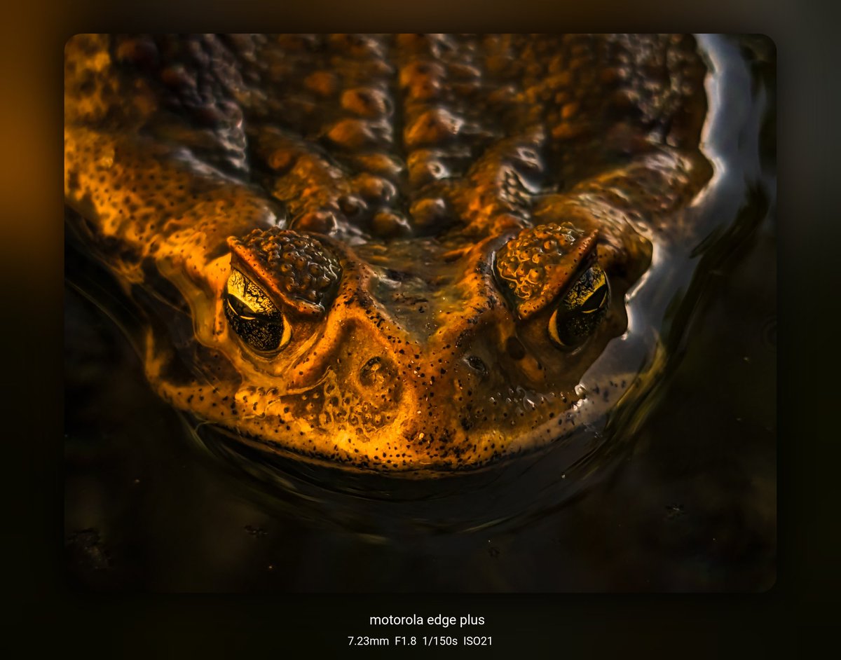 Coffee & Tech☕ tweet media