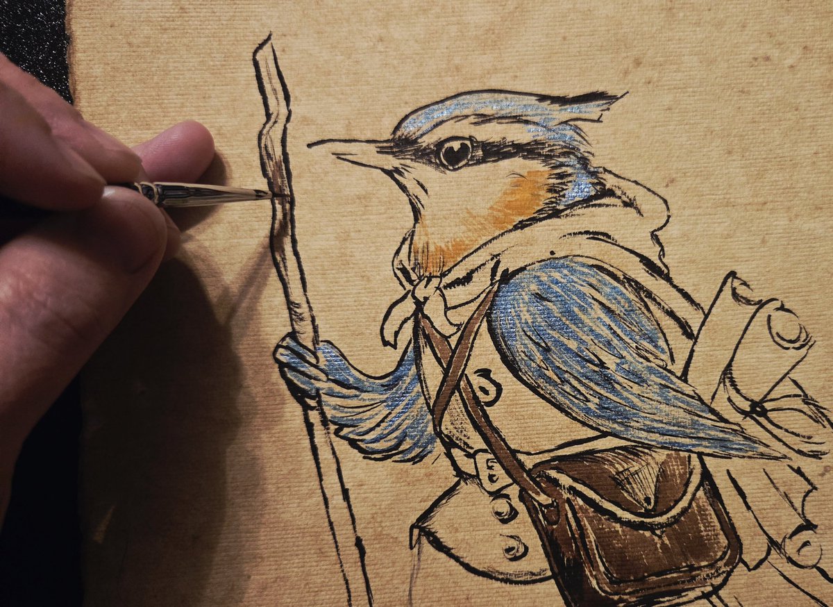 Ang_USL's tweet image. Continuing to sketch out Laylah the nuthatch scrollrunner. #art #inprogress 🎨✍️🐦