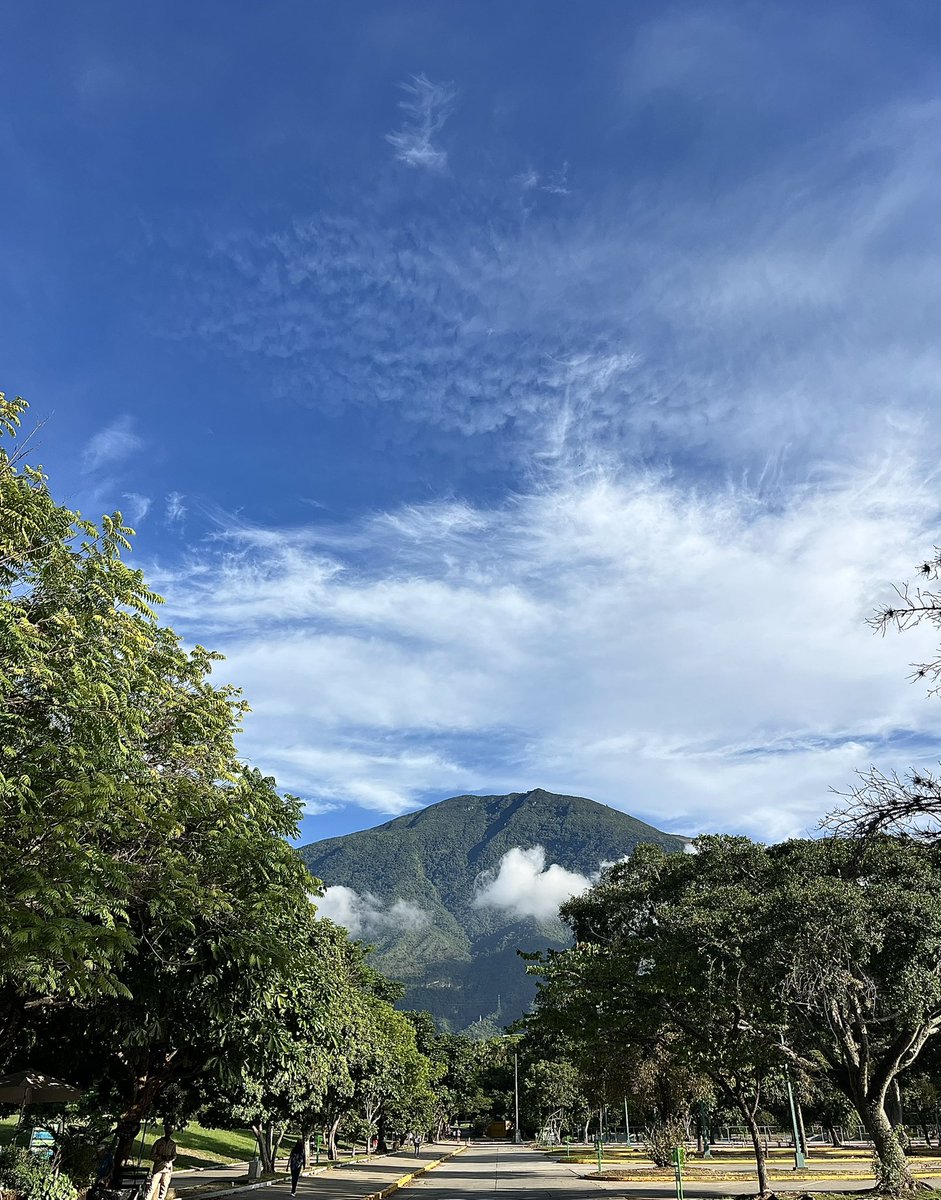 La incertidumbre enferma. Estamos en un momento difícil, distráiganse. Que no les dañen la salud mental. 
8:32 a.m.
