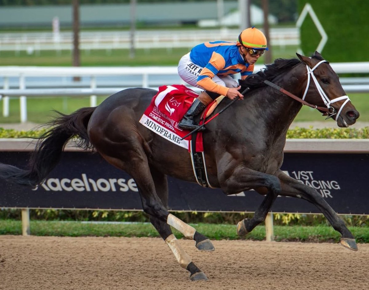 suscripcion01's tweet photo. #MINDFRAME Fue retirado de las pistas y comenzará en la reproducción en 2026 en @claibornefarm con valor del servicio potro vivo de 50 mil dólares En 2025 ganó Stephen Foster(GR.1) Churchill Downs Stakes(GR.1) y Gulfstream Park Stakes(GR.2) Campaña 9-5 y $2,054,580.@suscripcion01 https://t.co/EJdOqE1IxD