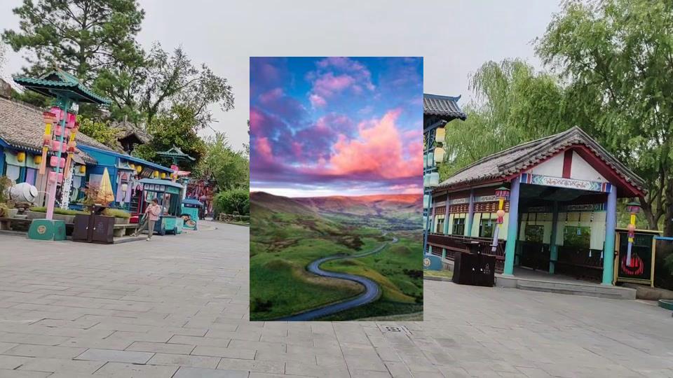 中年老狗 tweet media