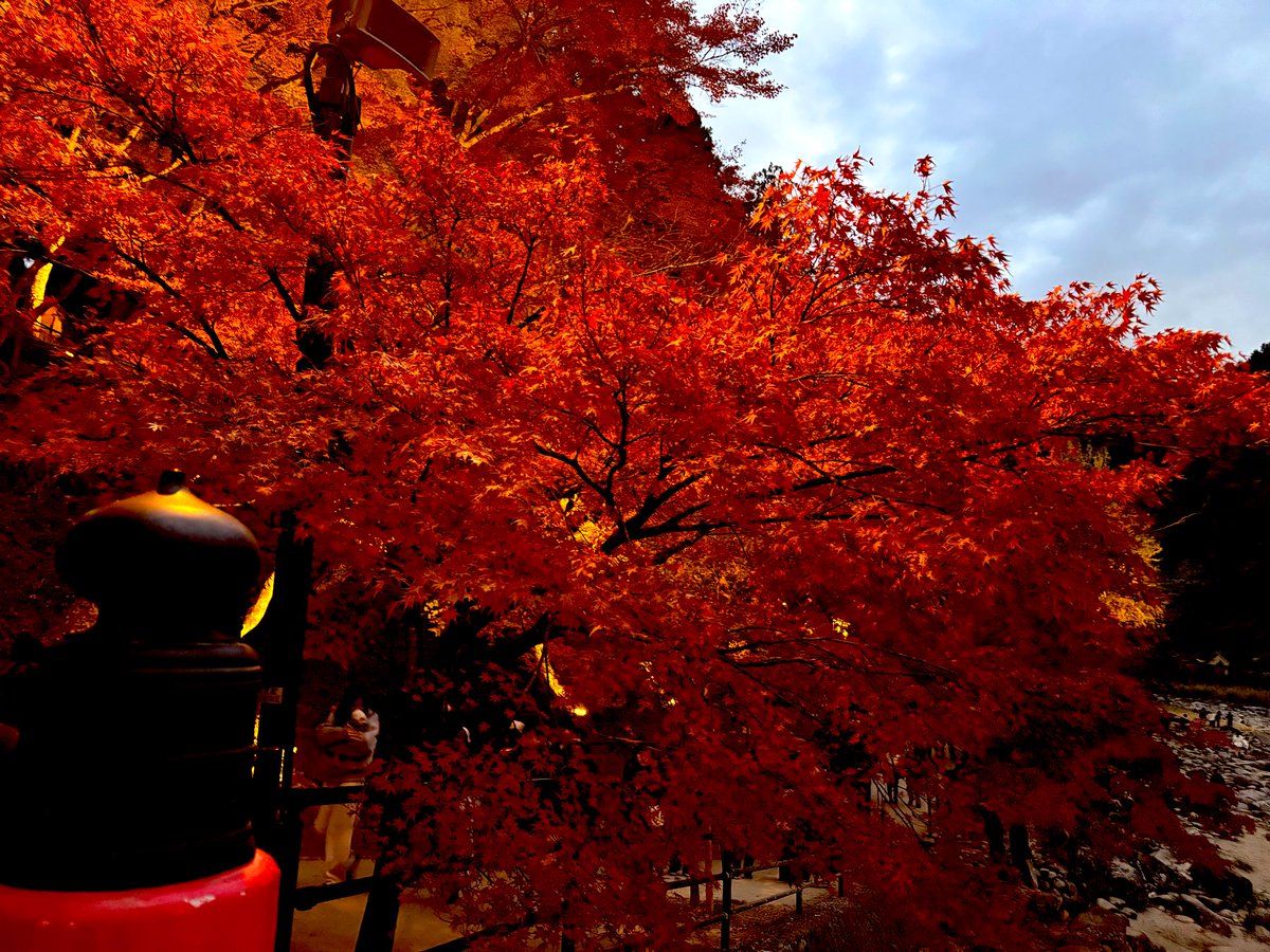 KatuN🌟 tweet media