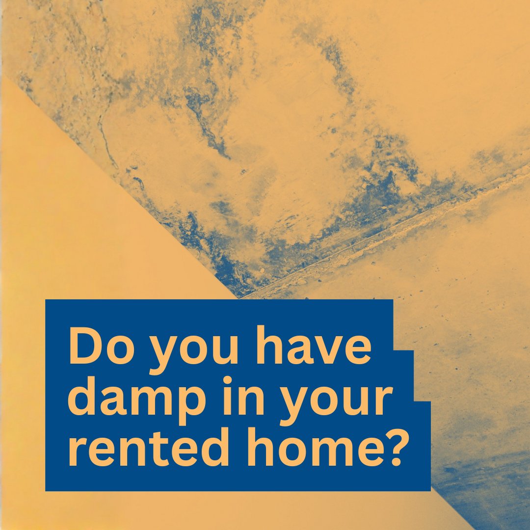 Are you facing problems with damp in your home?

It’s your landlord’s responsibility to find out what’s causing the damp.

Here’s what you need to know ⤵️
bit.ly/3K7gjeo