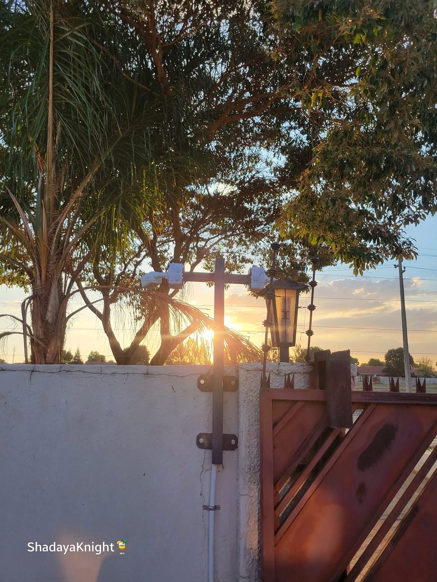 𝑻𝒉𝒆 𝑺𝒂𝒍𝒕 𝑶𝒇 𝑻𝒉𝒆 𝑬𝒂𝒓𝒕𝒉 tweet media