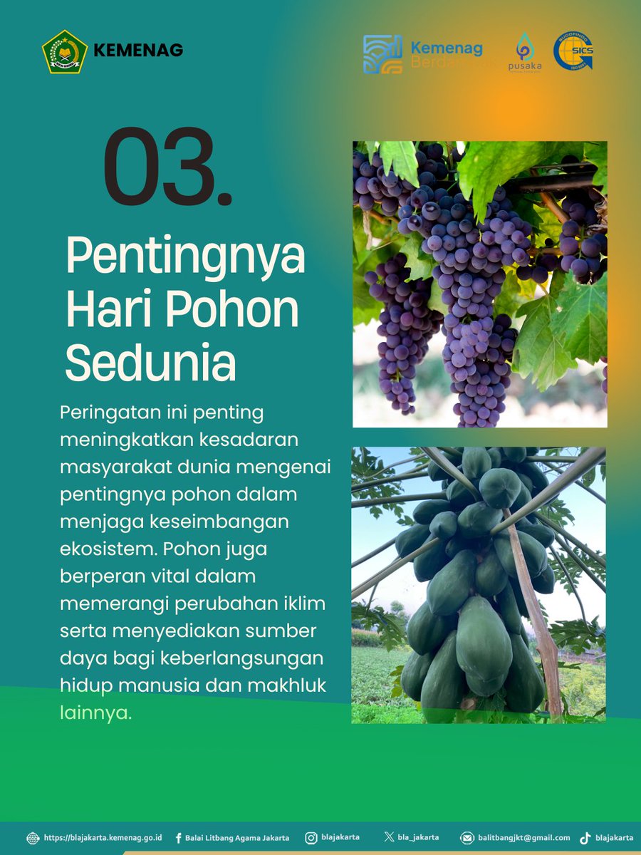 bla_jakarta's tweet image. Selamat Hari Pohon Sedunia 🌳
Geser untuk cek fakta menariknya yuk! 

📌 Jangan lupa Like, Comment, Share, dan Follow @blajakarta untuk update informasi lainnya. 

#BLAJakarta #BMBPSDM #KemenagRI #HariPohonSedunia #Ekoteologi