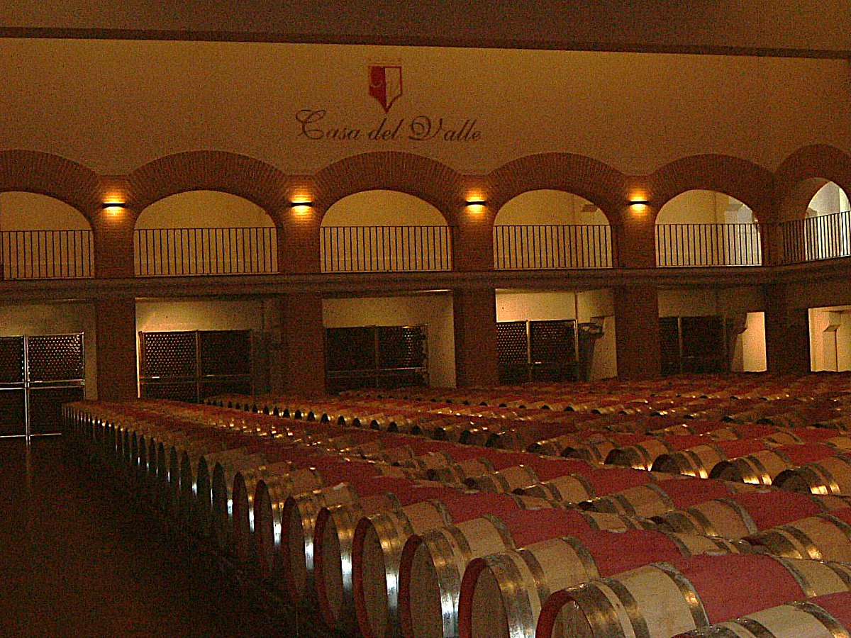 ACDQuijote's tweet image. 👉Continuamos presentándote a nuestros #socios:
🍷Bodegas y Viñedos Casa del Valle, de #Yepes, es miembro del GDR Don Quijote desde 2001.  
✅Esta empresa es un referente en la comarca por su compromiso con la calidad, la innovación y el respeto al territorio. (+)