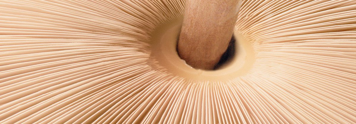 Procto_Log's tweet image. Passionnément toucher rectal