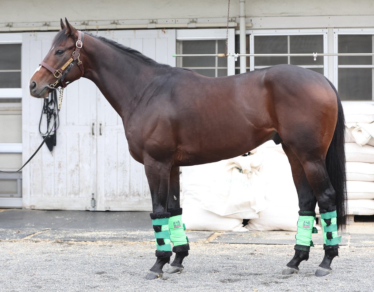 合う馬 ハイセイコー記念】走り慣れた地元でゼーロスがタイトル奪取