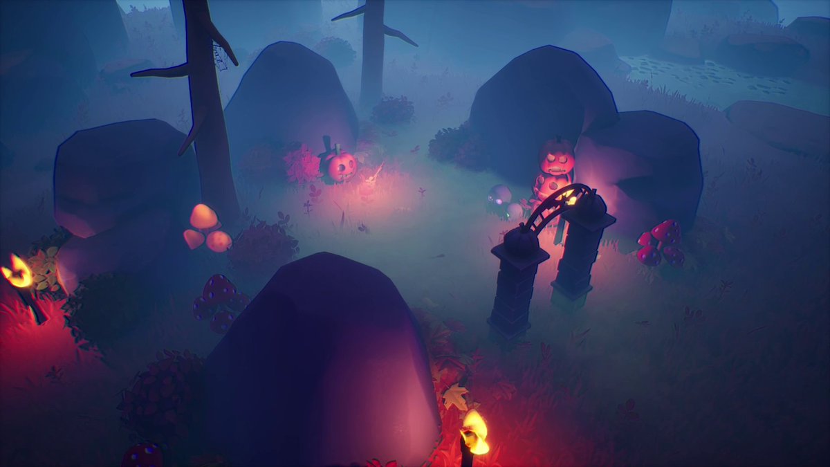 Collector's Cove 💛 OUT NOW! tweet media