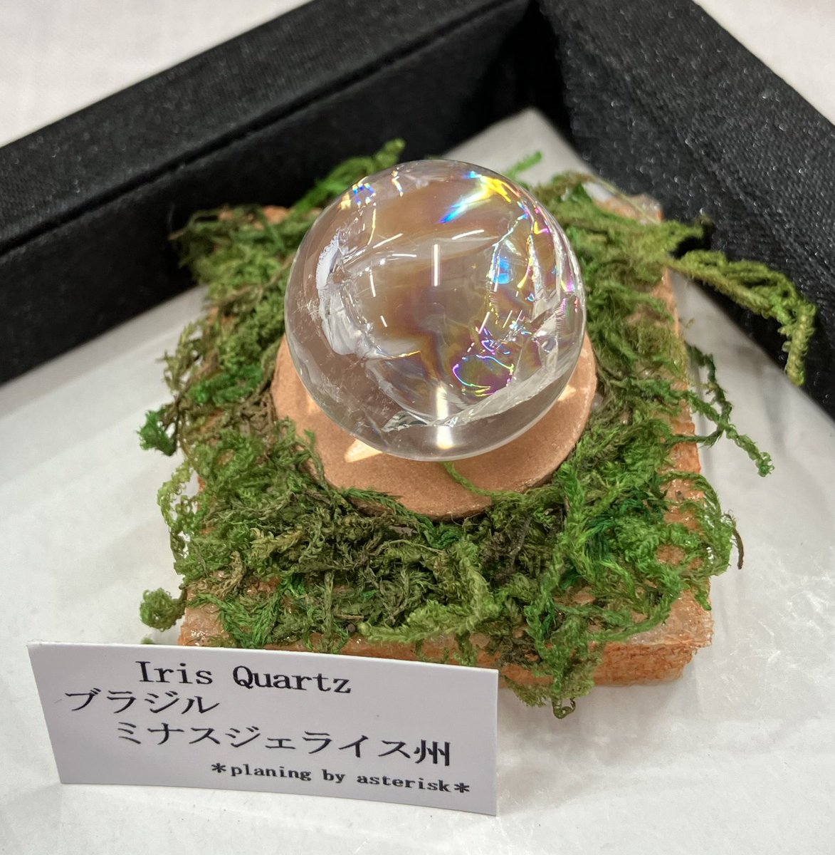 asterisk (@asteris14237757) / Posts / X