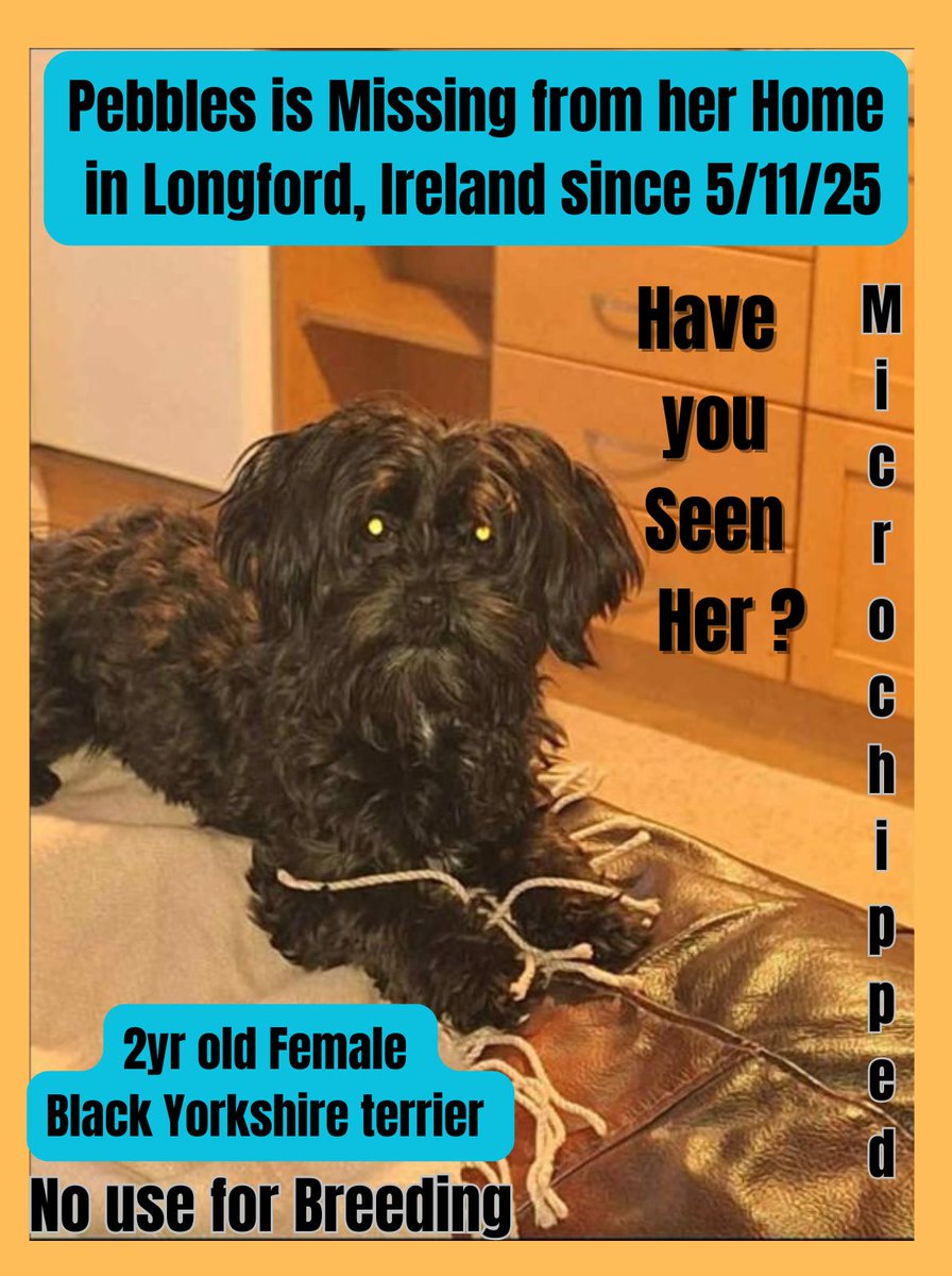 Lisa O' Connor (Animal Advocate) tweet media