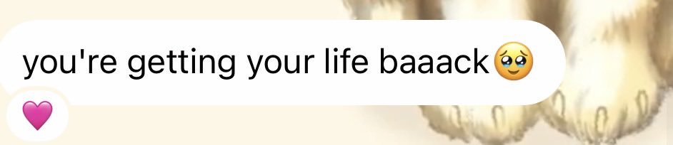 Ash | mourning megumi tweet media