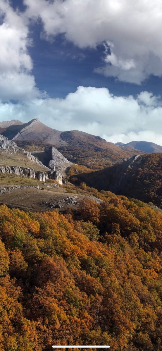 Otoño en el robledal.