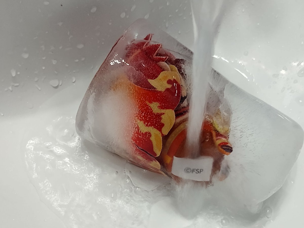 sagitfy's tweet image. OKAY OKAY!! don&apos;t worry guys malim is out of the freezer ^_^ he&apos;s just getting a bit waterboarded !