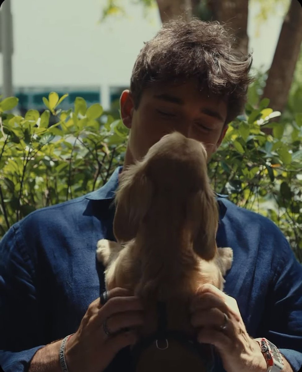 โฑ ๐ฏ๐จ๐ฌ-๐ฐ๐ณ tweet media