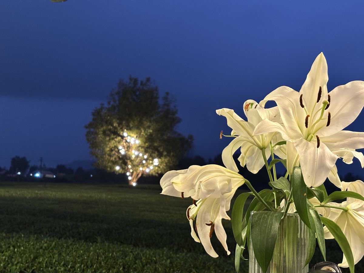 inreuo's tweet image. 