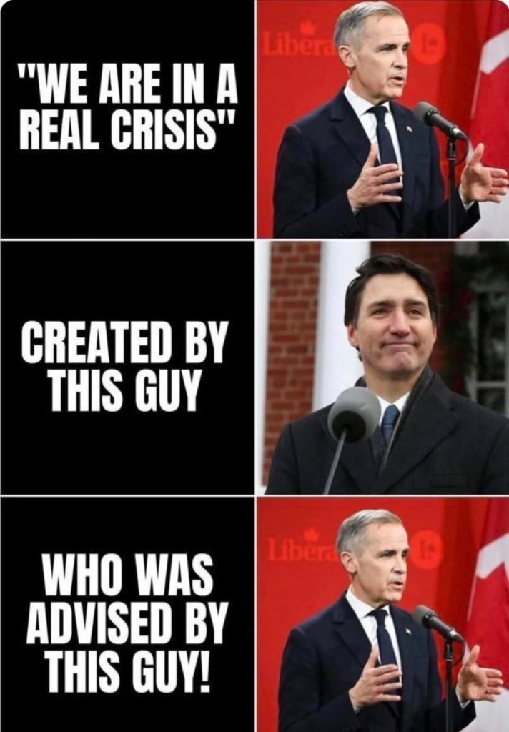 JuniorFaF0's tweet image. 