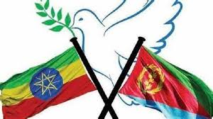 GashamaYohannes's tweet image. The Gov&apos;t of #Ethiopia is ready for dialogue and a different future. We call on the international community to press and encourage the #Eritrean government to end its provocations and violations against Ethiopia and to engage in good-faith dialogue.
#DialogueaLedPrinciple #Peace