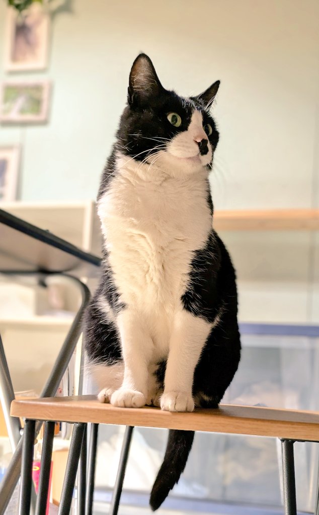 みわみわ。 WAVE LIGHTNING Z8 MID – Mizuno Thailand