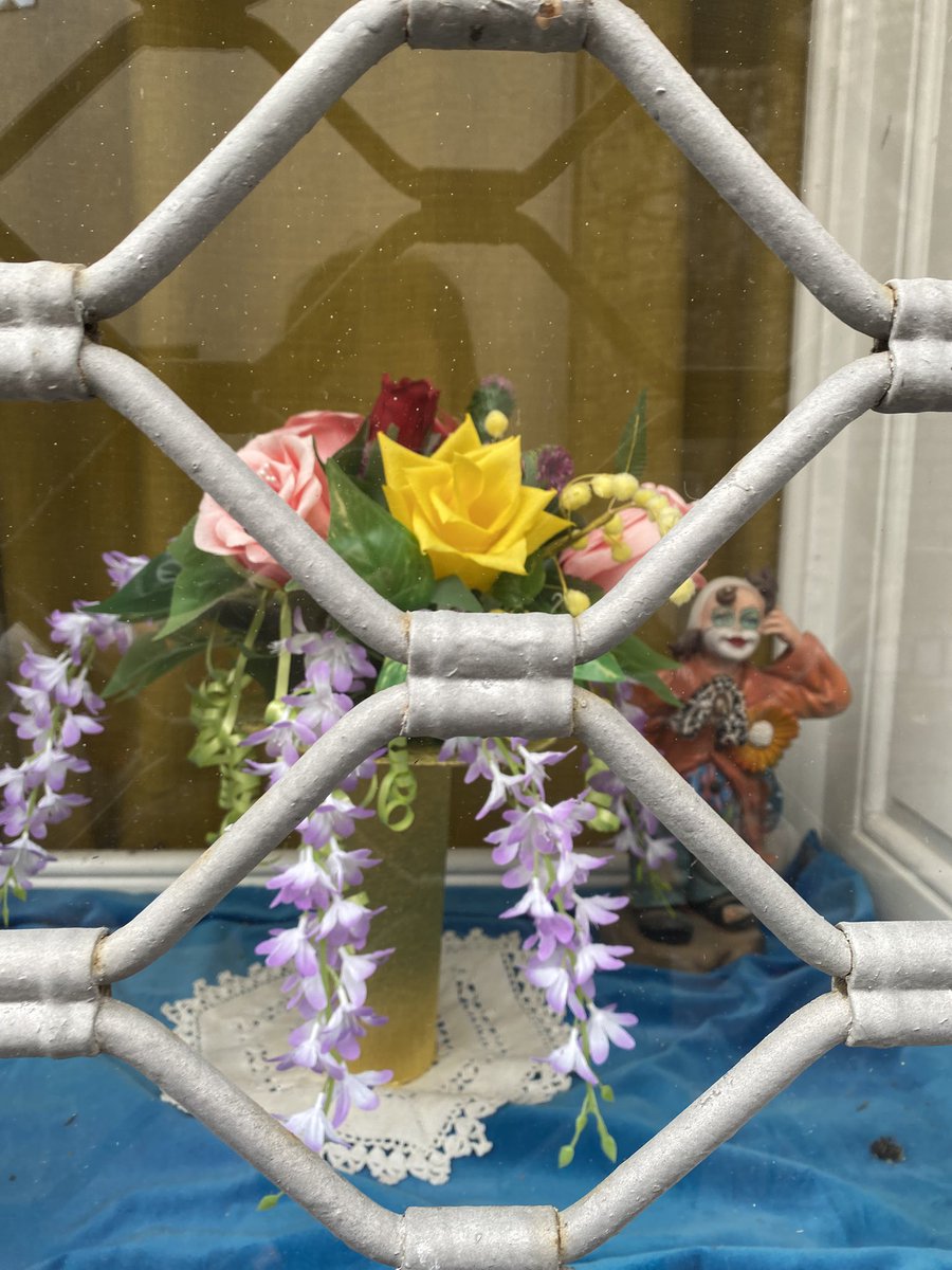 Sonia Zuccaro tweet media