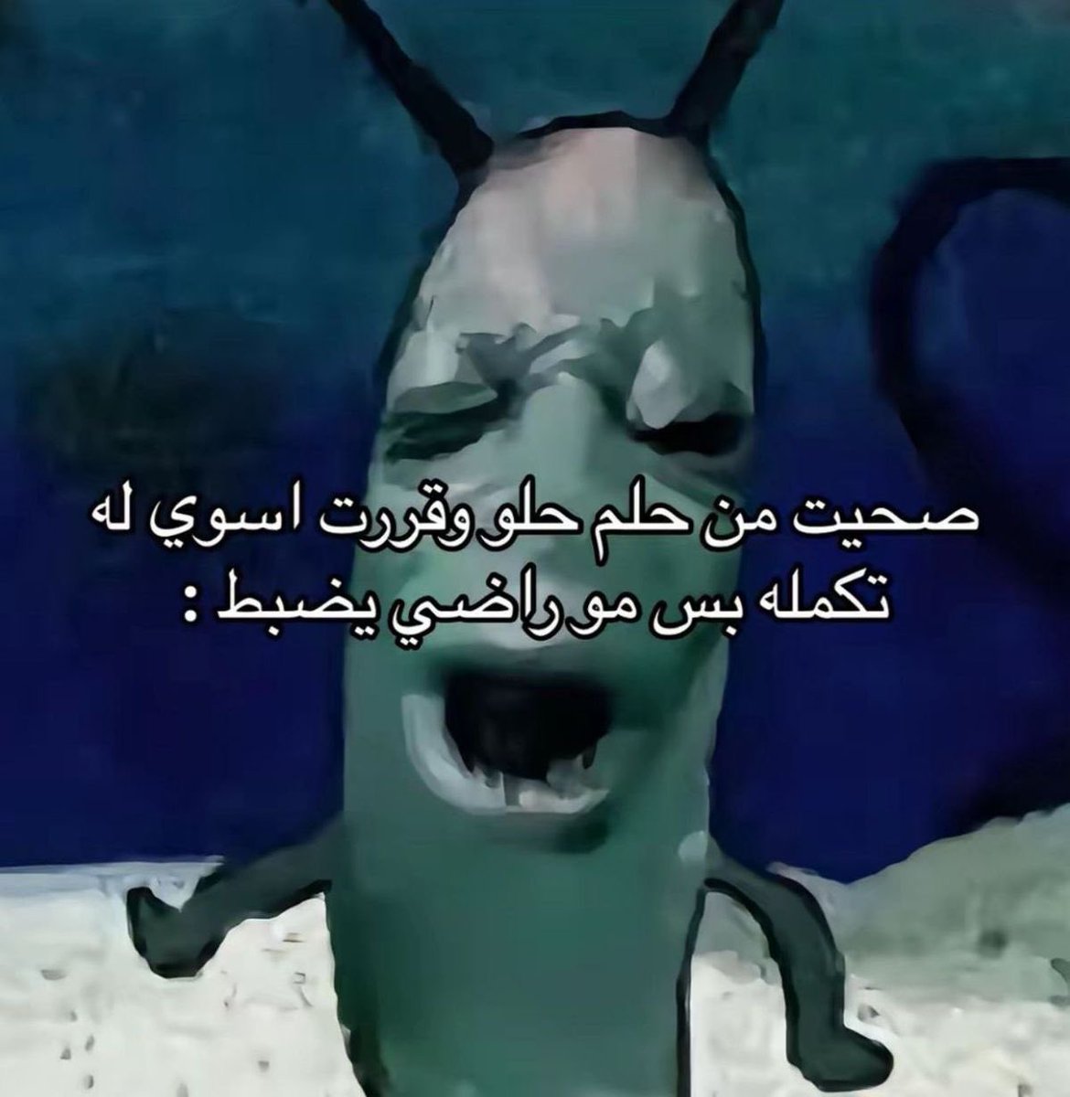 سارة tweet media