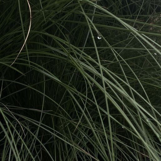 itdiorgurl's tweet image. sweet end of week