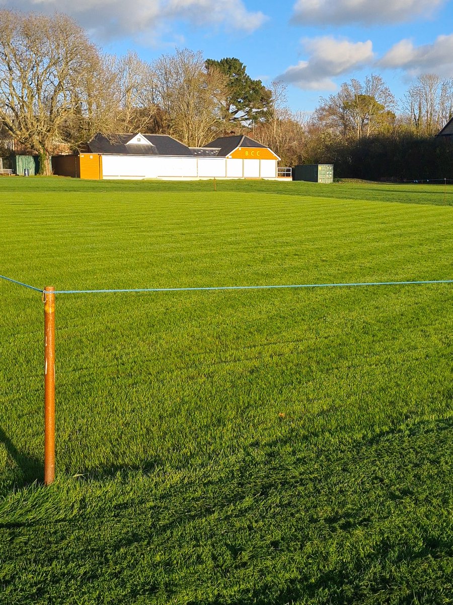 Renovations are underway and—miraculously—going smoothly. Our newly recruited groundsman is already working magic on the square. 

We’re also on the lookout for new players of all levels. If you fancy joining the club, now’s the perfect time.

👉 blandfordcricketclub.com
