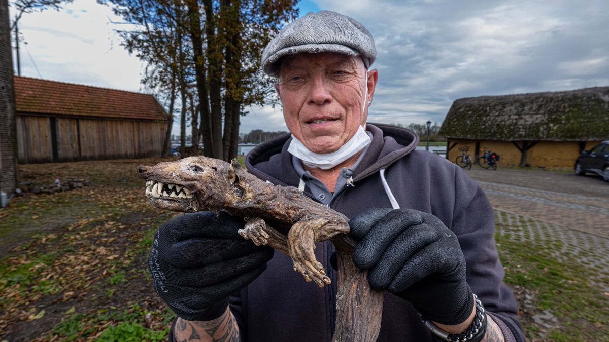 RTV SLOS tweet media