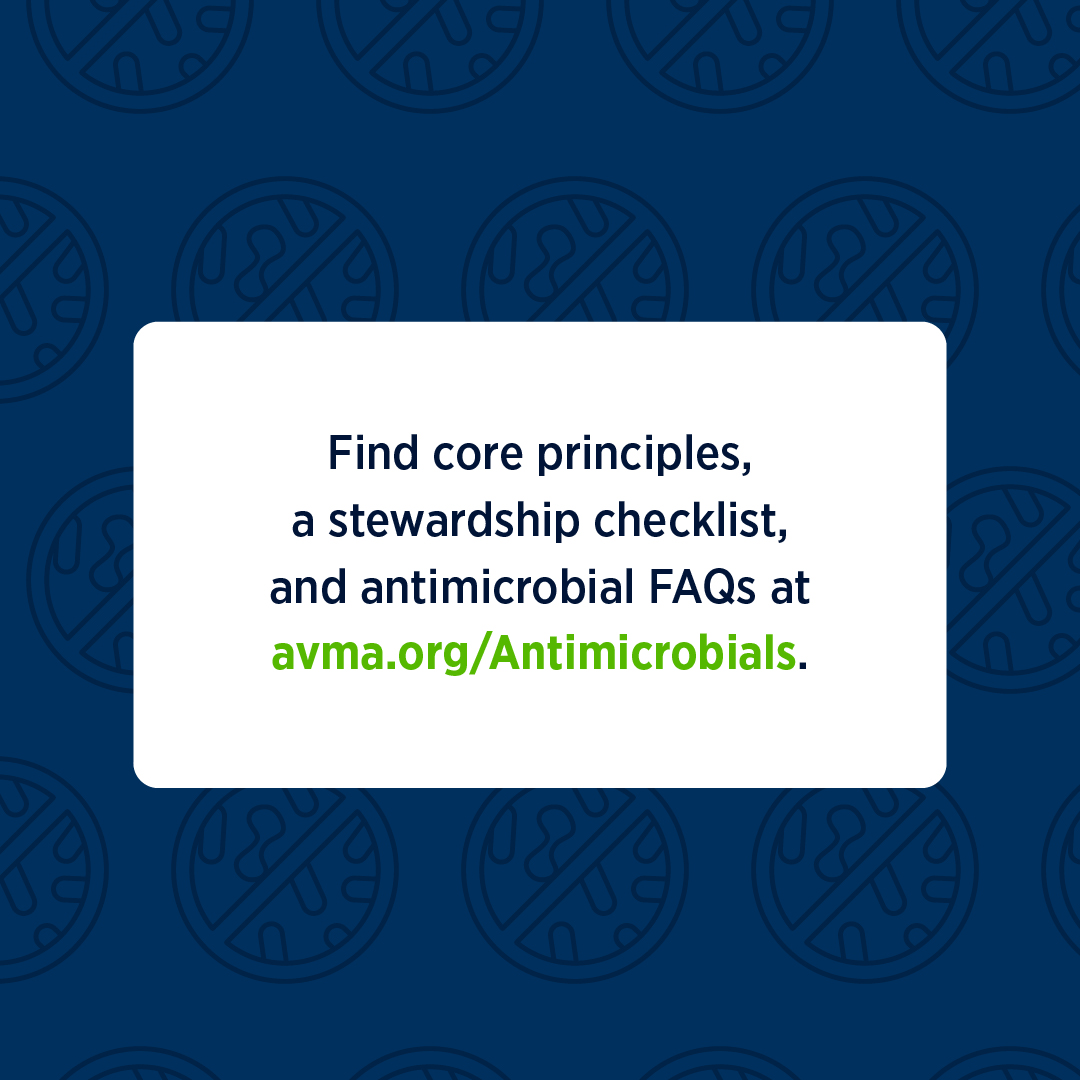 AVMAvets's tweet image. Here&apos;s a little quiz for U.S. Antibiotics Awareness Week and World AMR Awareness Week. 

In extremely Dwight Schrute voice...FALSE. The AVMA has resources to help veterinarians make appropriate decisions regarding antimicrobial use. Visit avma.org/Antimicrobials to learn more.