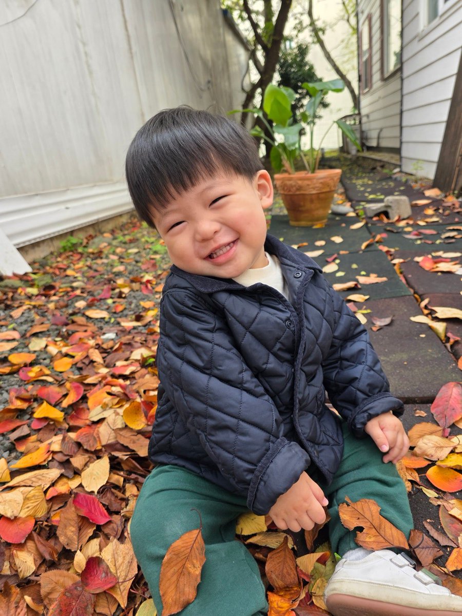 이제는 언강도 잘 부린다 말이지