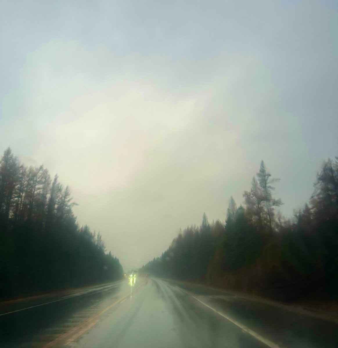 ddelacoquette's tweet image. Meilleure décision de 2025?

Installer les bureaux en plein cœur de la nature. 
Enfin, vivre dans l’environnement qui correspond à notre énergie. 

Prochainement, un petit article sur le fait que nous sommes profondément encore calqués sur notre nature préhistorique.

Certains…