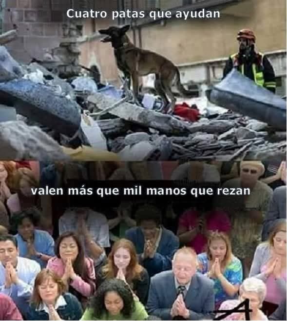 Hola #Xalapa

Con el ánimo de siempre..