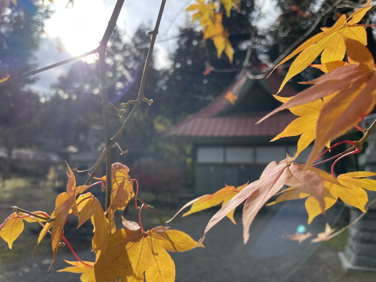 #古町豊受大神宮
授与所

23日14:00〜新嘗祭
自然と稲作に感謝し
美味しい新米をいただきましょう

11/22（土）❌
11/23（日）⭕️9:00-16:00
11/24（振）❌

【　11月の和歌　】
ちはやふる
神代もきかず
立田川
からくれなゐに
水くくるとは

HP
otaya753.otaya-san.com

#御朱印
#おたやさん
#長和町