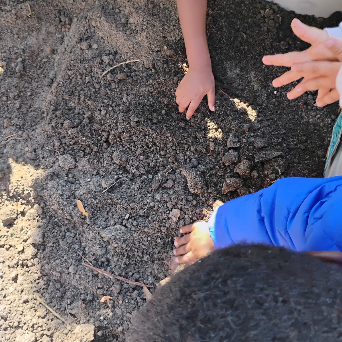 Hand, Heart, and Soul Project tweet media