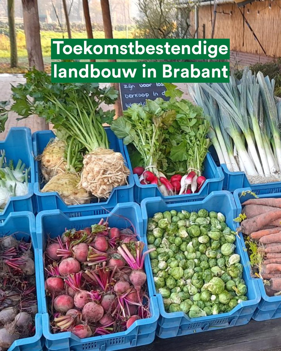 Op werkbezoek bij Vaderland, waar de nieuwe generatie kiest voor welzijn boven welvaart 🌱

Dit boerenfamiliebedrijf heeft de omslag gemaakt van gangbaar naar kringloop. Naast eten in het restaurant, kun je er ook verse seizoensgroenten kopen. Perspectief voor de landbouw! 🧑‍🌾