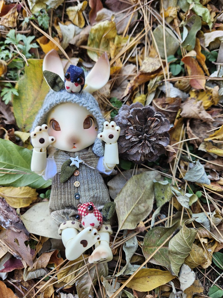 Y_Bear_j's tweet image. 가을도 얼마 못즐긴것같은데 왜이렇게 추울까...8ㅅ8