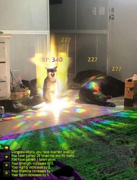 WarcraftMeme's tweet image. Ding!!! #warcraft