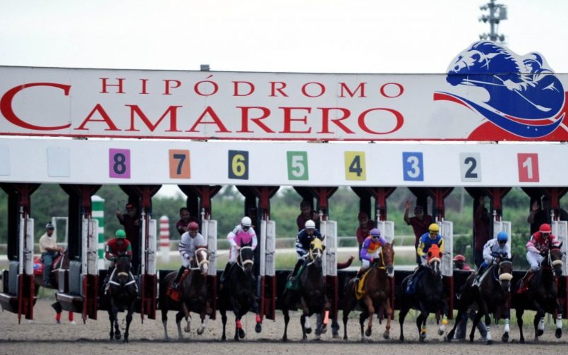 El Poolpote este viernes (21-11-2025) en el Hipódromo Camarero, de Puerto Rico, tiene un monto acumulado de RD$15,646,928.32 (aproximadamente).