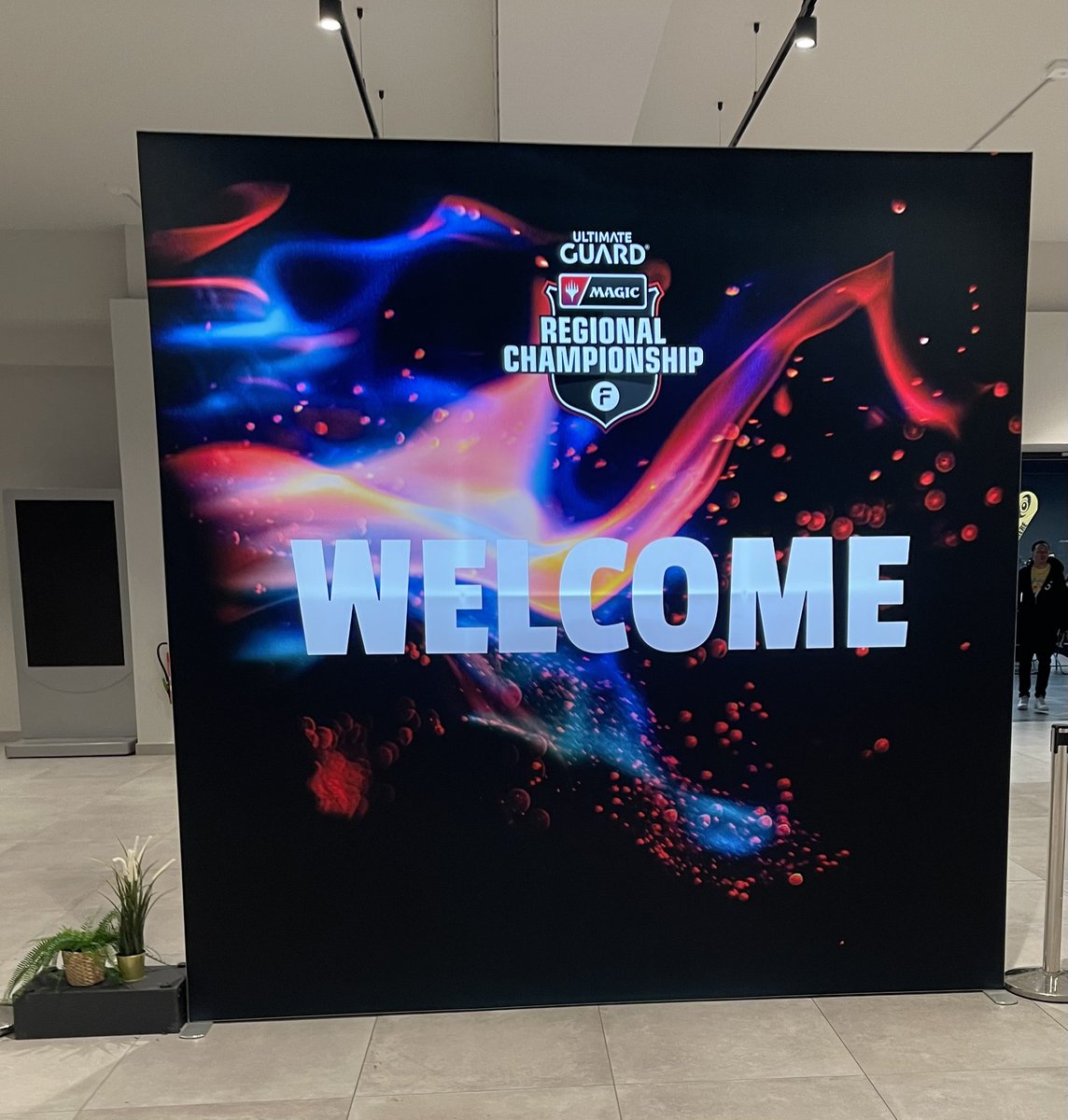 Andifeated_TCG tweet media