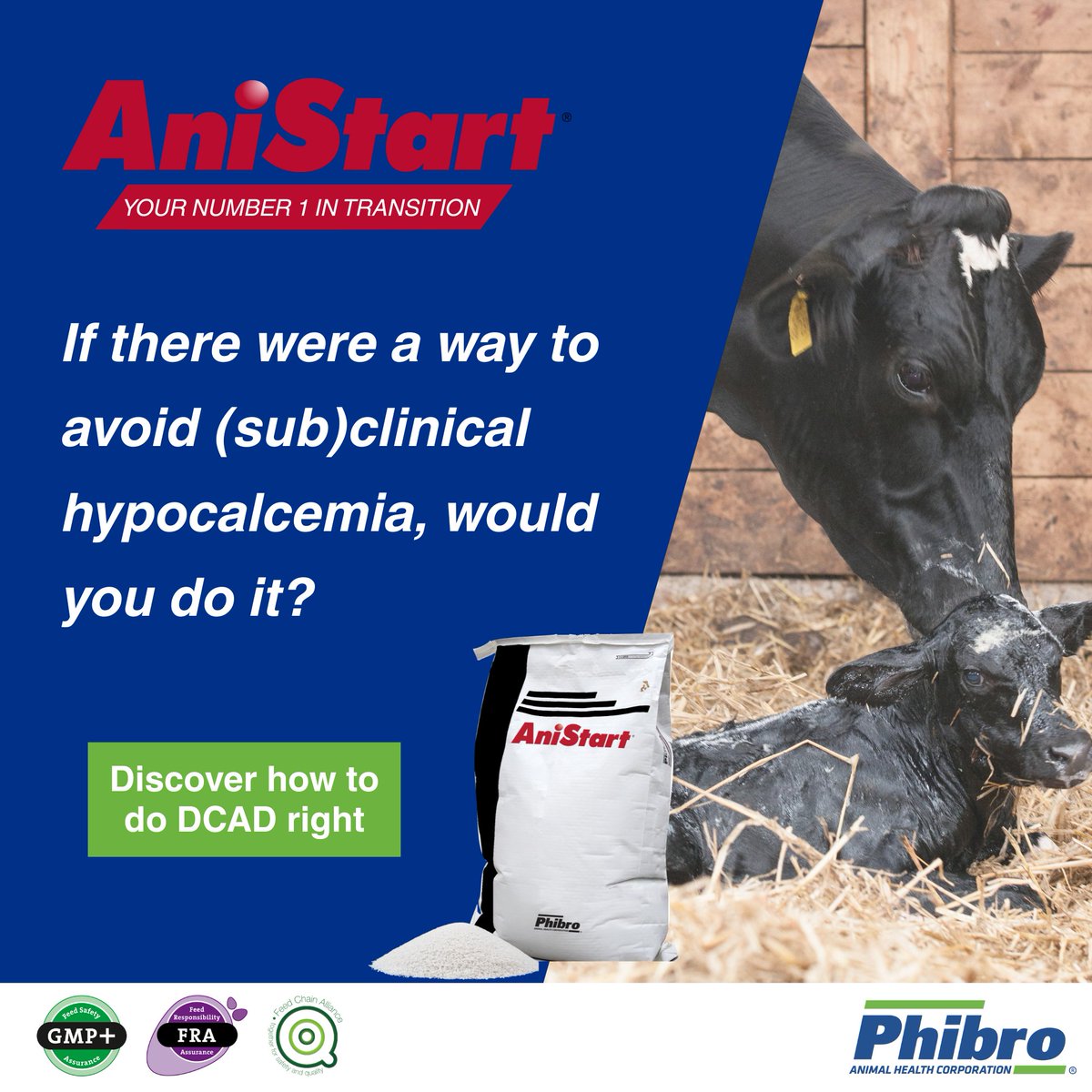 PhibroEurope's tweet image. At Phibro, we’re proud to be the DCAD experts, helping dairy producers optimize transition cow health and performance. 
👉 Learn more about how AniStart can support your herd: bit.ly/4o2CBff

#TeamPhibro #DCAD #AniStart