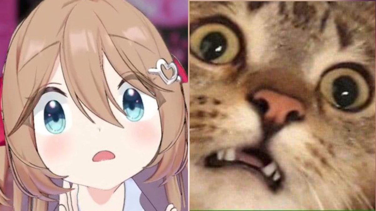 yy9926000580598's tweet image. She is a little cat