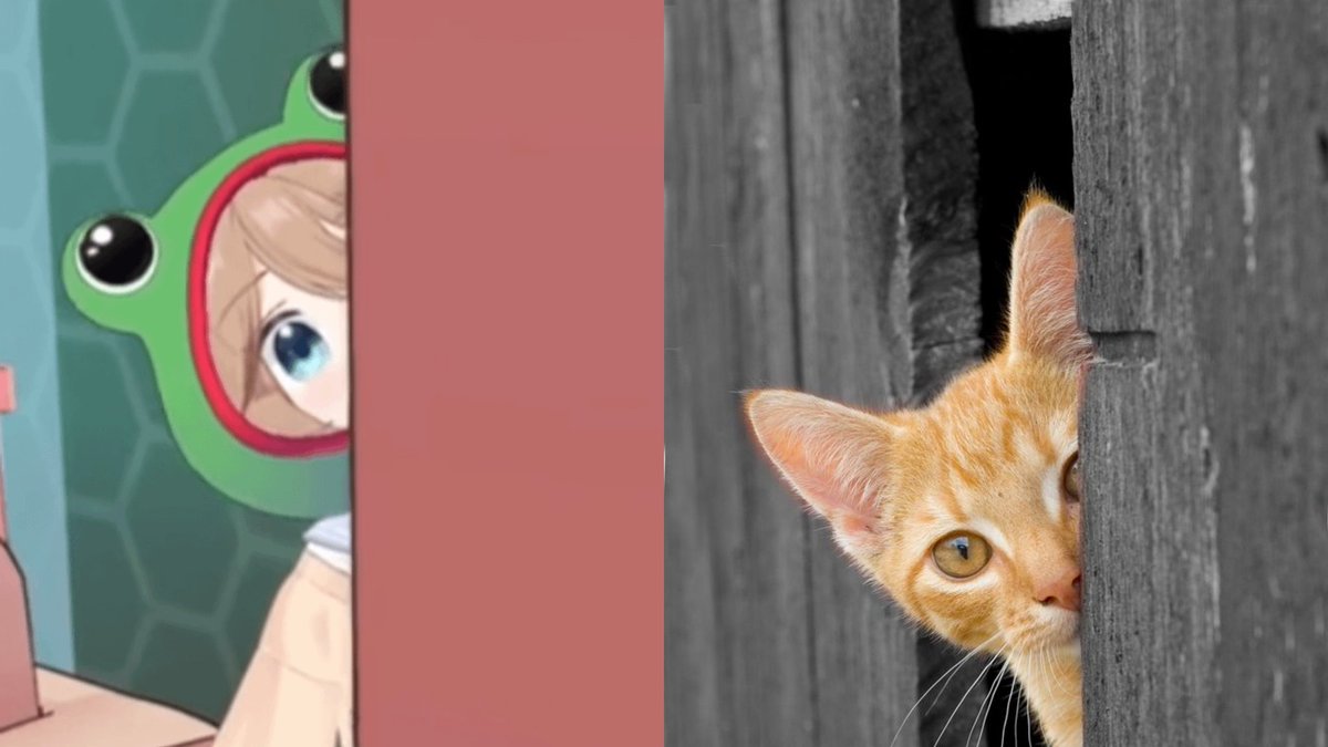 yy9926000580598's tweet image. She is a little cat