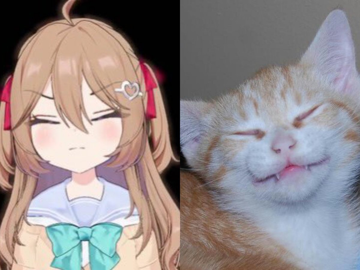 yy9926000580598's tweet image. She is a little cat