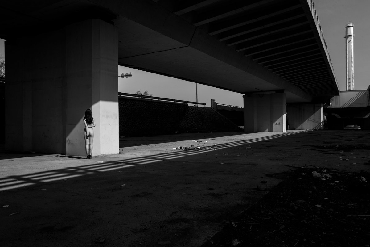 Island Light Walker tweet media