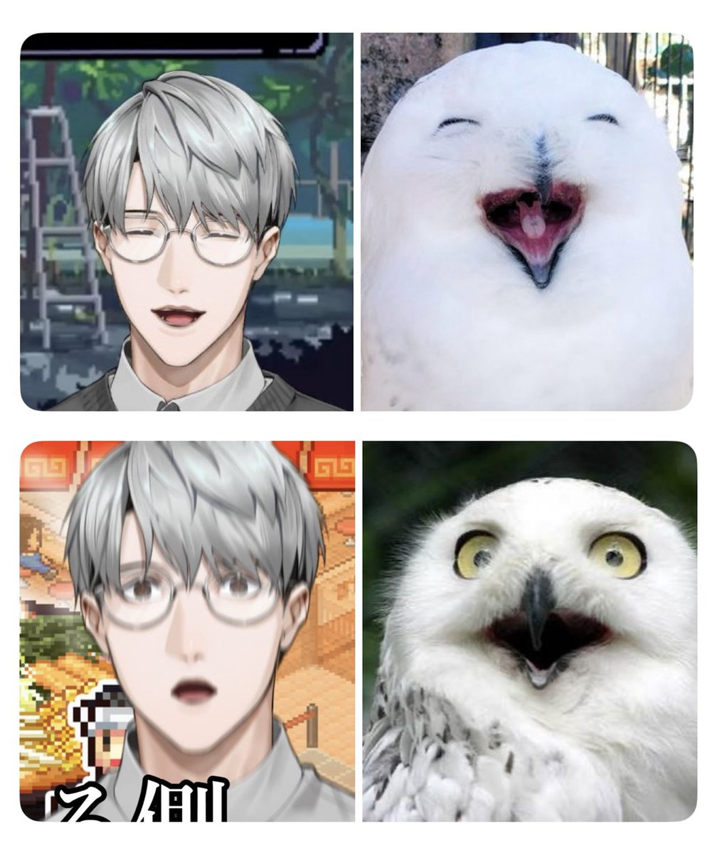 ojarityan's tweet image. 既 視 感